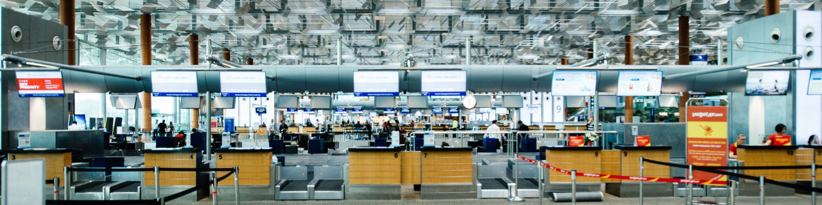 如何了解香港自動清盤程序的全過程及時間安排？